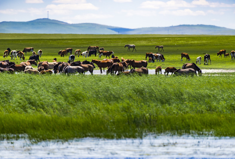 内蒙古阳光小聚，感受大草原的温暖时光