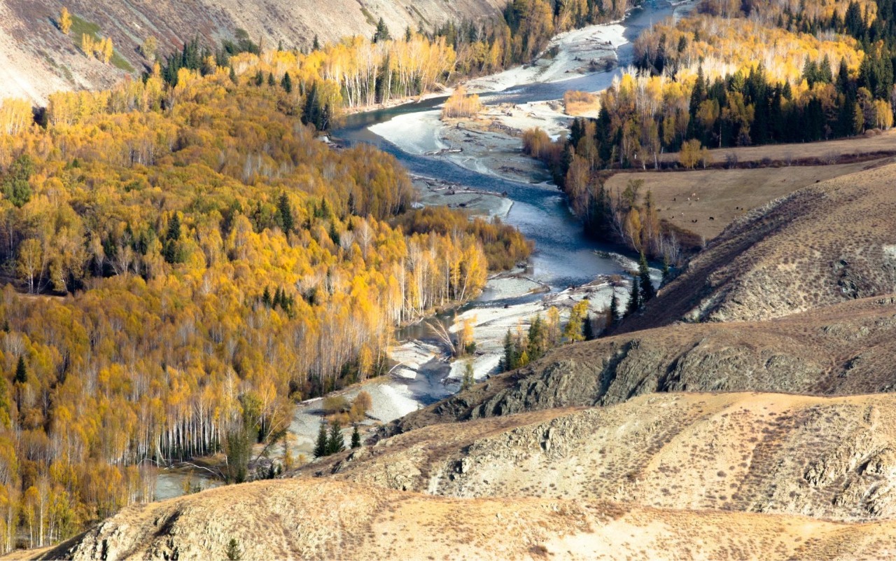 新疆，稳定繁荣的西北明珠闪耀光芒